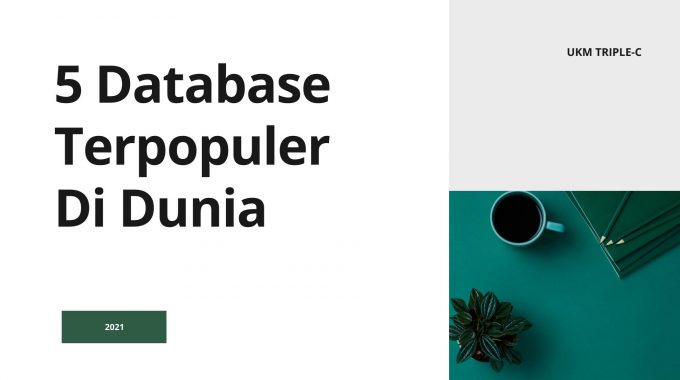 5 Database Terpopuler Di Dunia