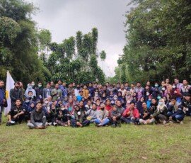 ct-one